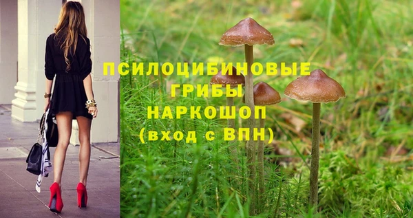 прущий лед Осинники