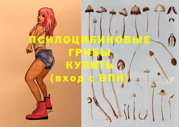 PSILOCYBIN Алексеевка
