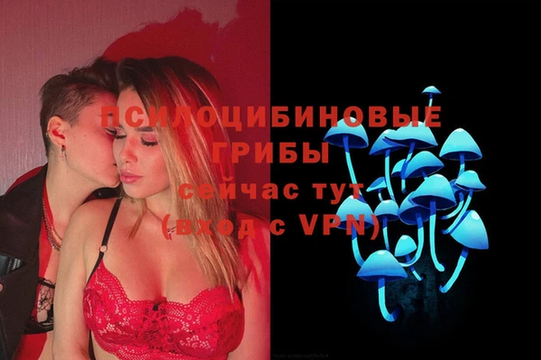 ешки Алзамай