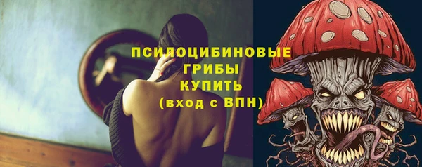 PSILOCYBIN Алексеевка
