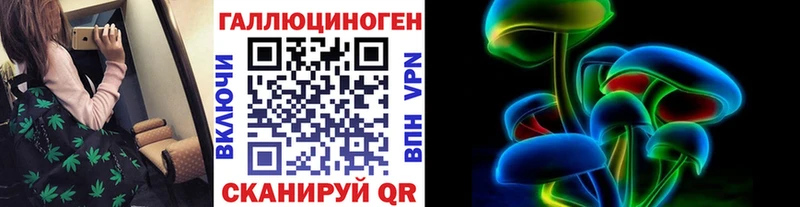 купить наркоту  Шенкурск  Псилоцибиновые грибы Magic Shrooms 